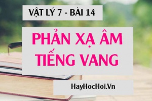 Phản xạ âm là gì, Tiếng vang là gì? Vật phản xạ âm tốt, kém có bề mặt như thế nào? - Vật lý 7 bài 14